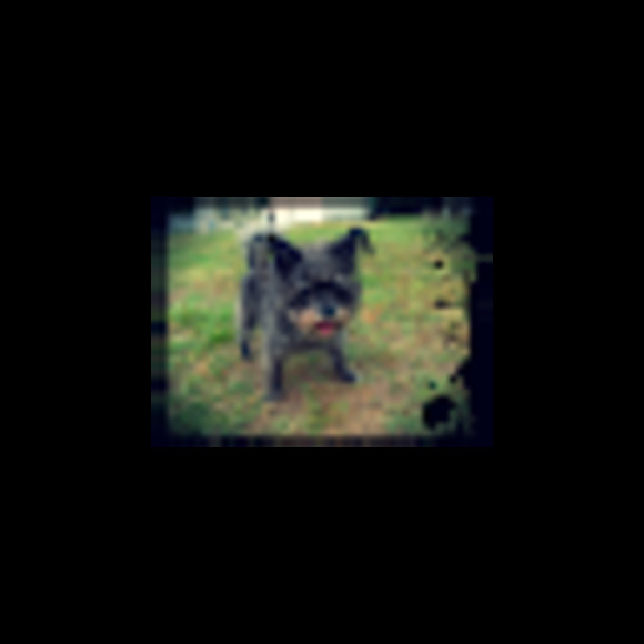 Meet your Posher, Crystal - Picture 1 of 1